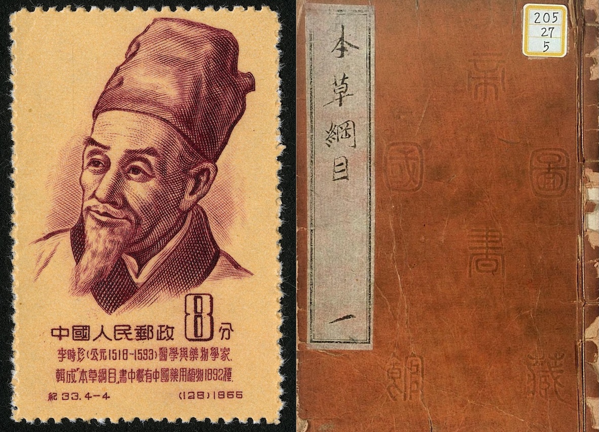 20241114-8