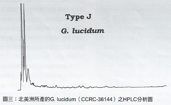 04-Su-4