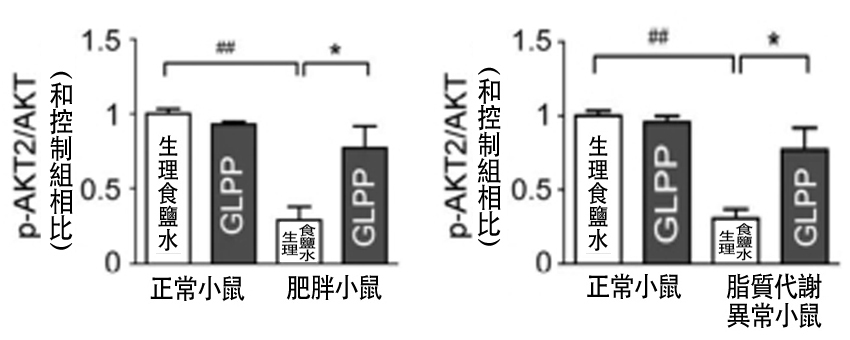 20190316-4