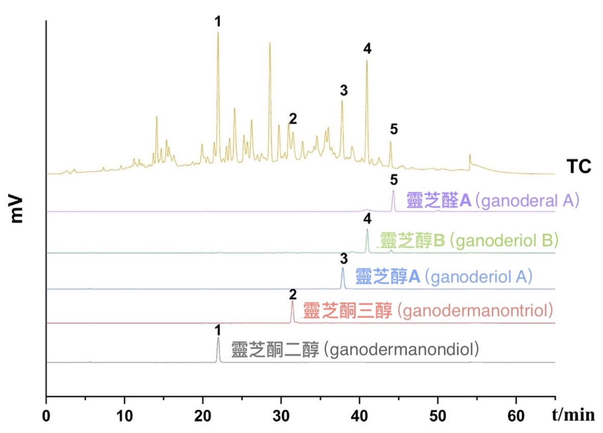 20250414-1new